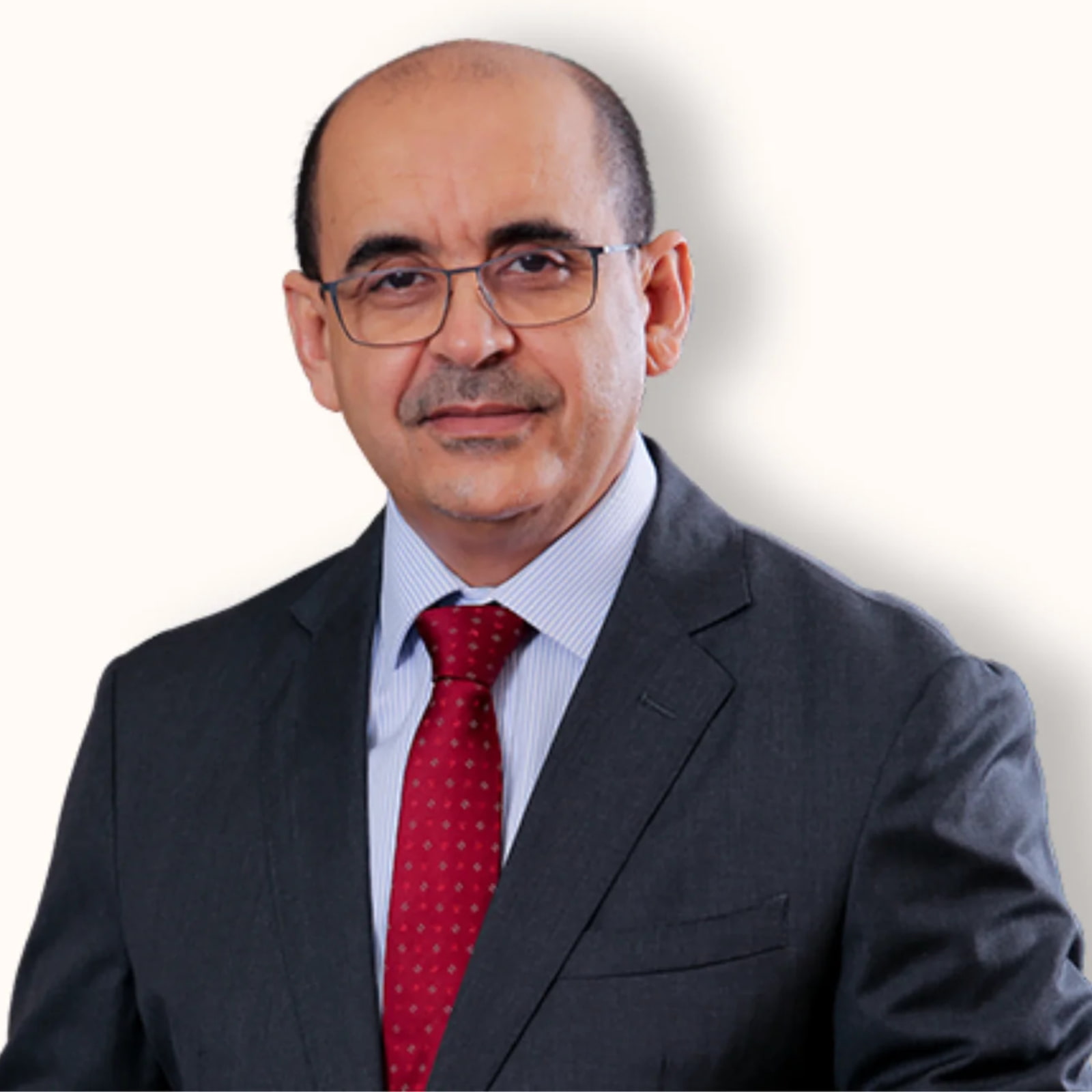 Professor Mohamed M. Salem Zein